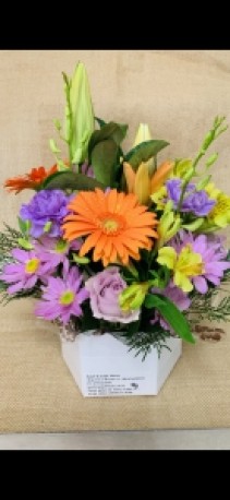 Mixed Box Arrangement